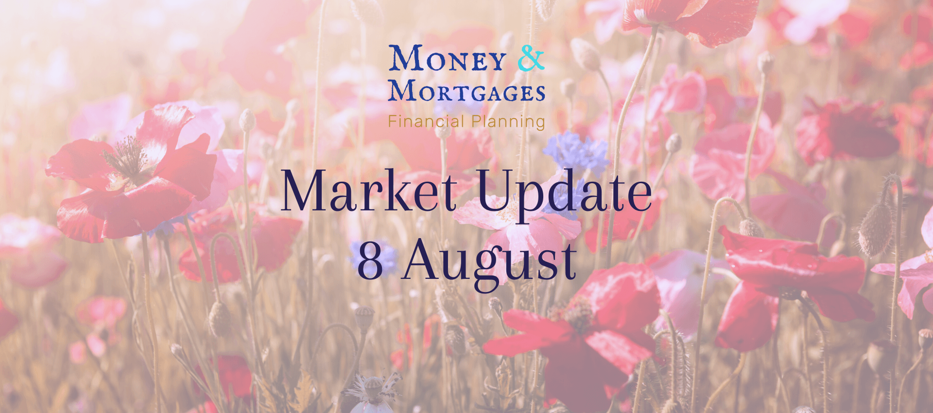 8 Aug Market Update